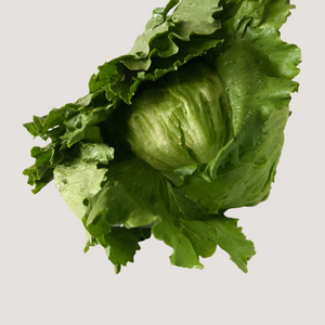 Lettuce, Iceberg