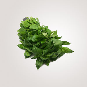 Basil