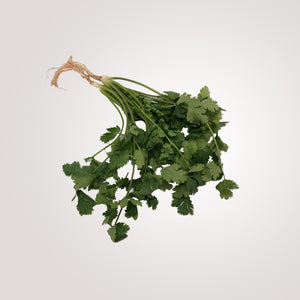 
            
                Load image into Gallery viewer, Coriander
            
        