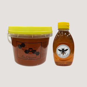 Honey, Bee Obsessed