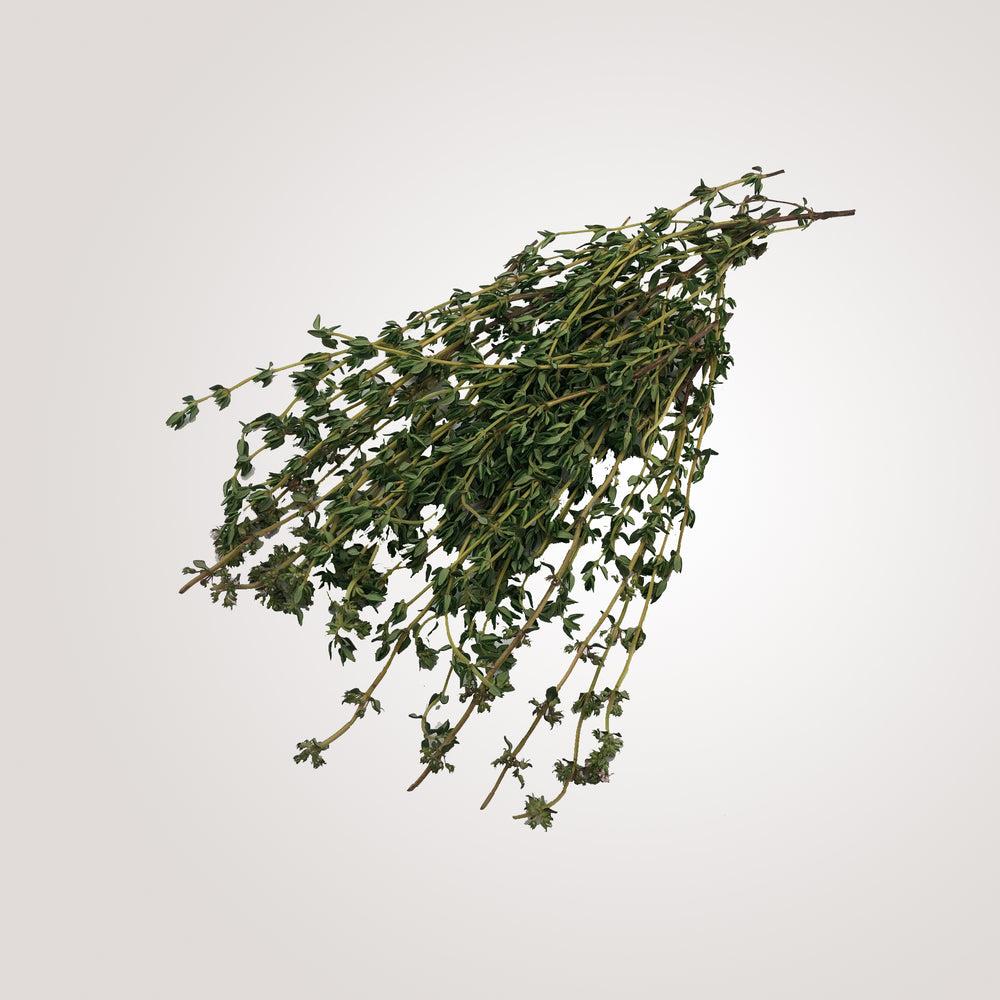 
            
                Load image into Gallery viewer, Thyme
            
        