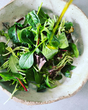 Mesclun Leaves, mixed leaf salad mix
